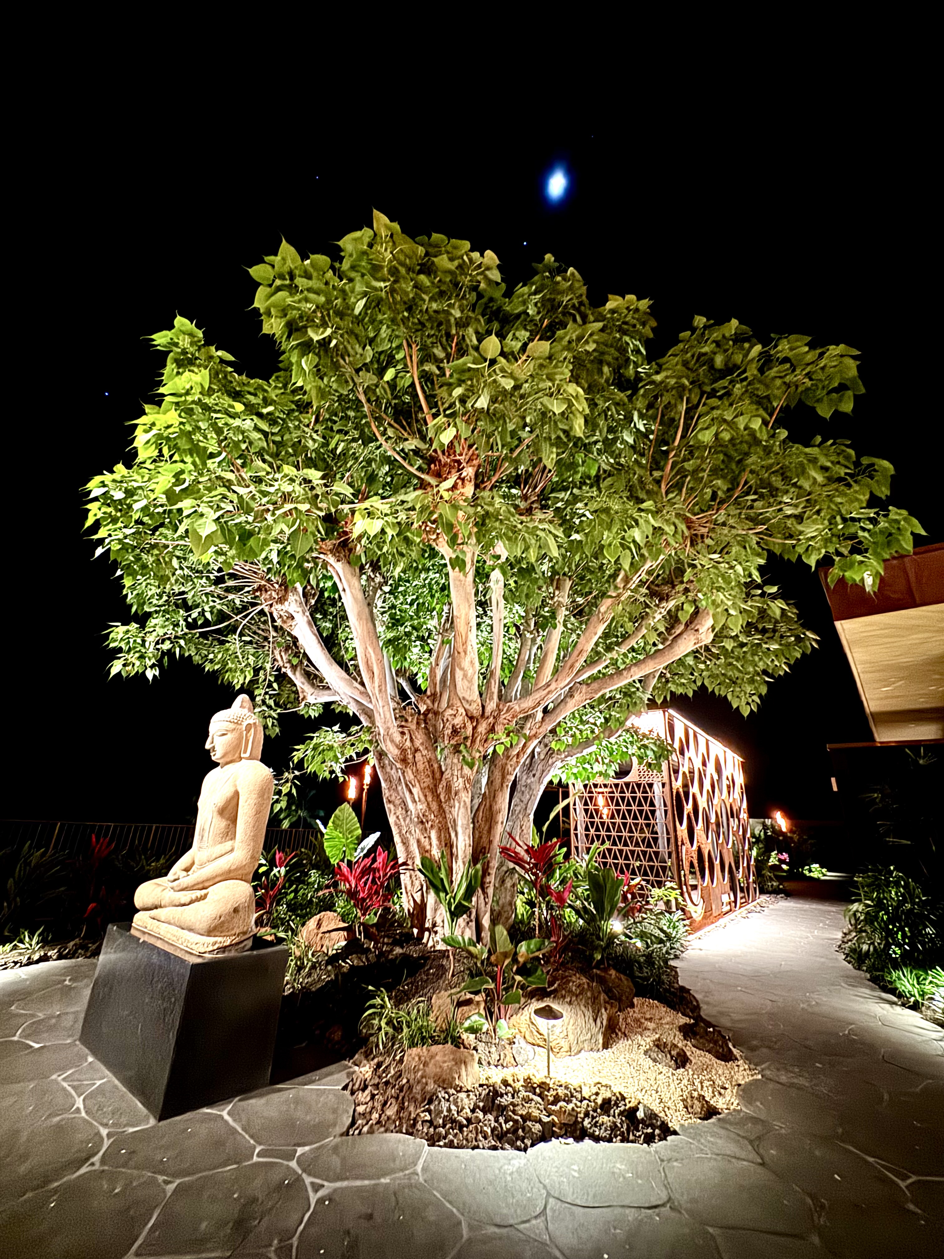 Mauna Kea Beach Hotel — photo 1 of 3